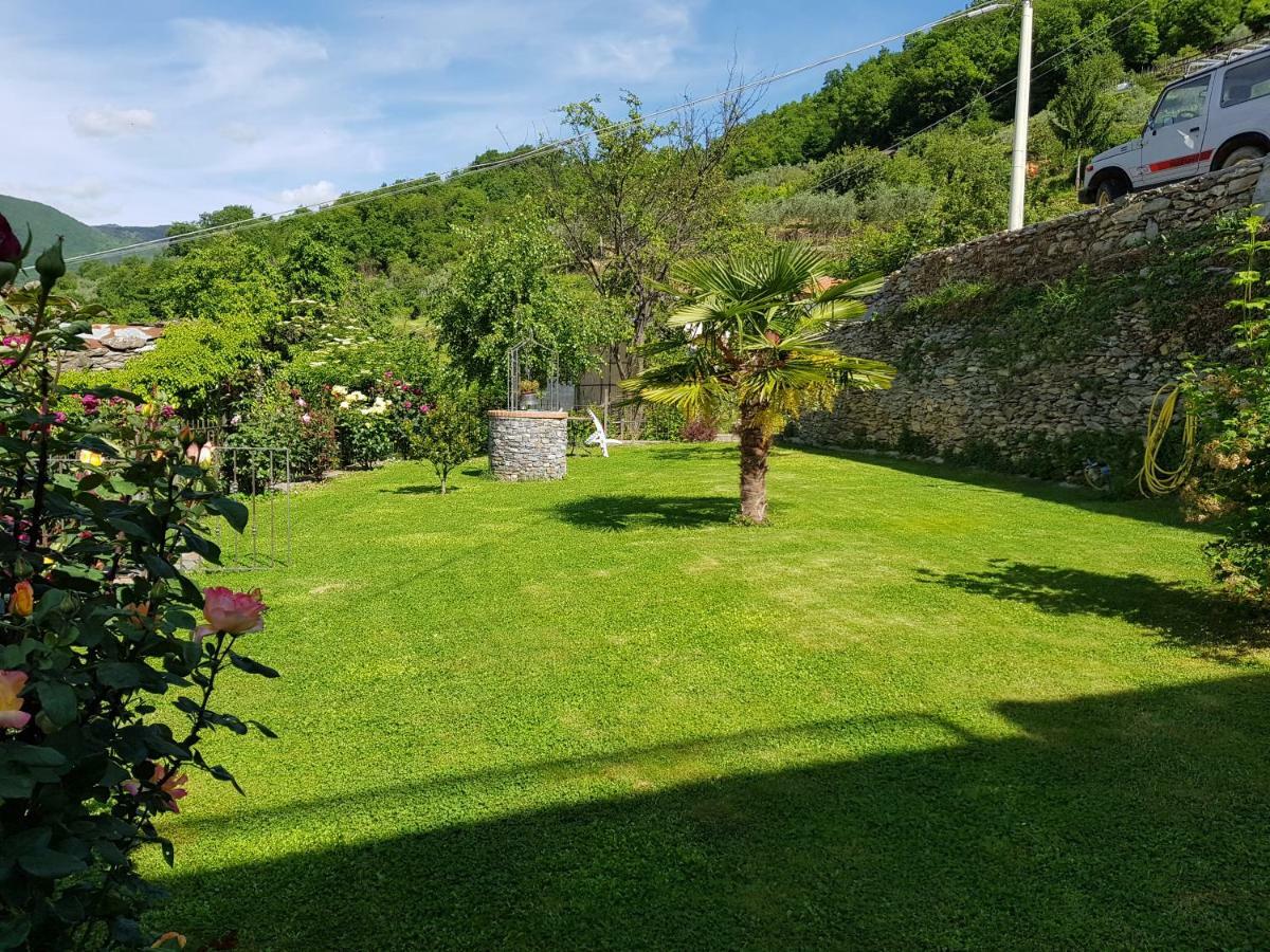 Green House Pieve di Teco Buitenkant foto