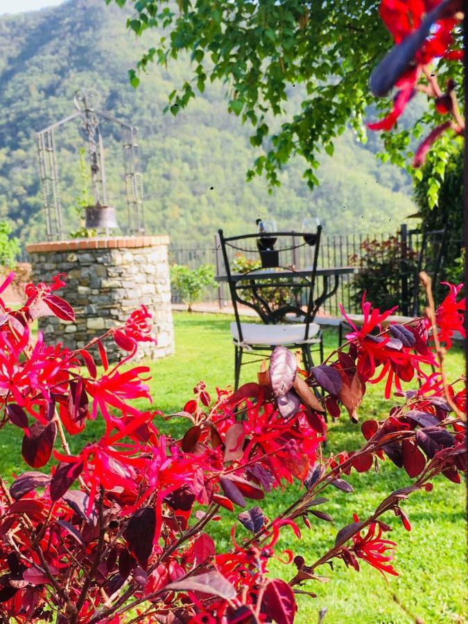 Green House Pieve di Teco Buitenkant foto